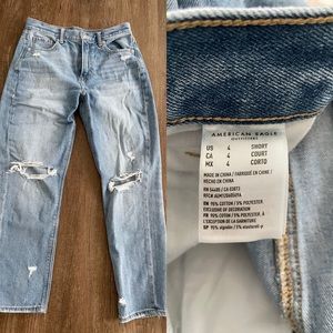 American Eagle Mom Jeans